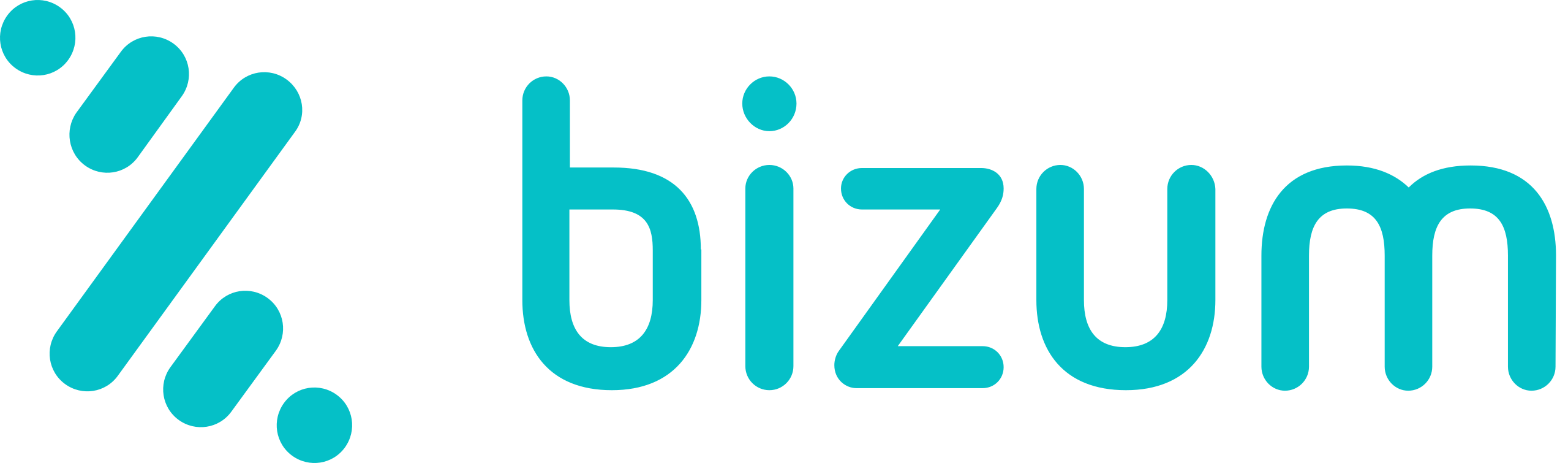 Bizum logo